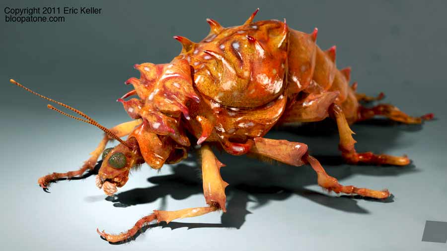 small_sfariBug_01.jpg