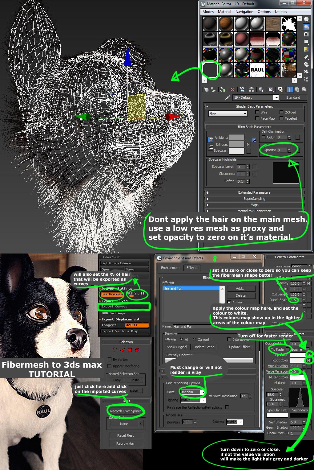 tutorial.jpg