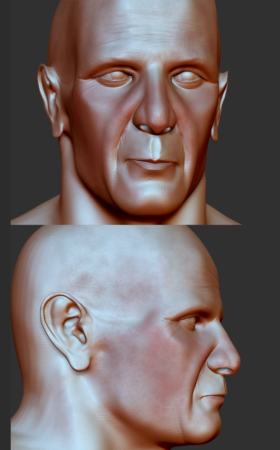 head_05.jpg