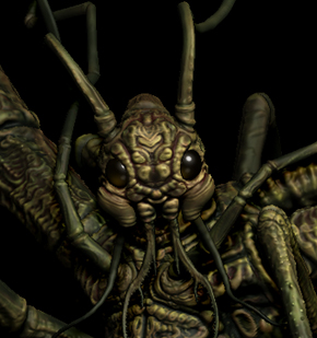 Insect_Creature_Thumb.jpg