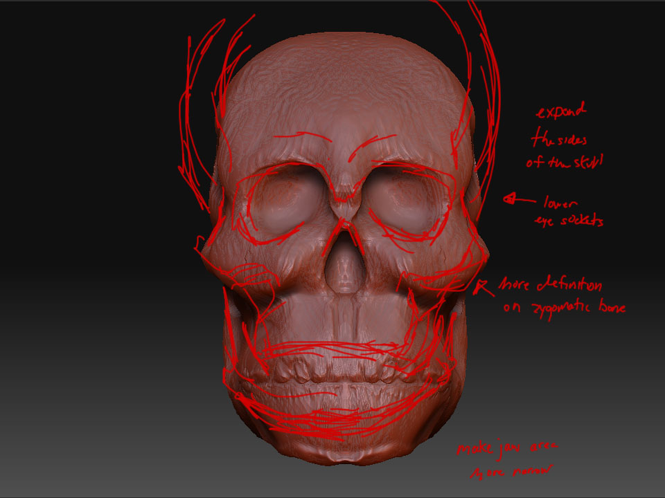 JAmes_skull.jpg