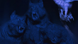 DRAGON_RIDER_WITH_WOLVES_14.jpg