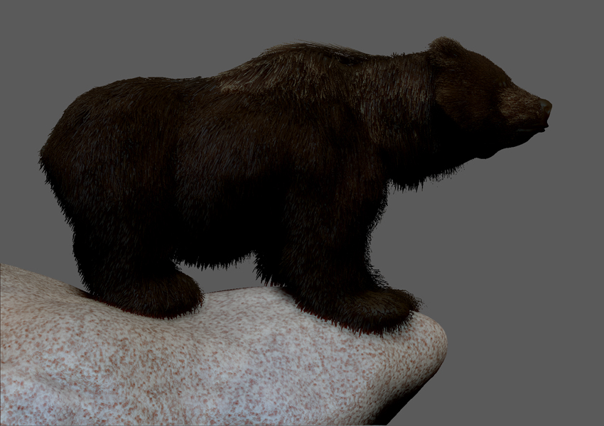 GRIZZLY FUR CLIFF 1.jpg