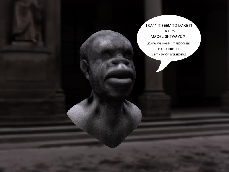 headHDRI