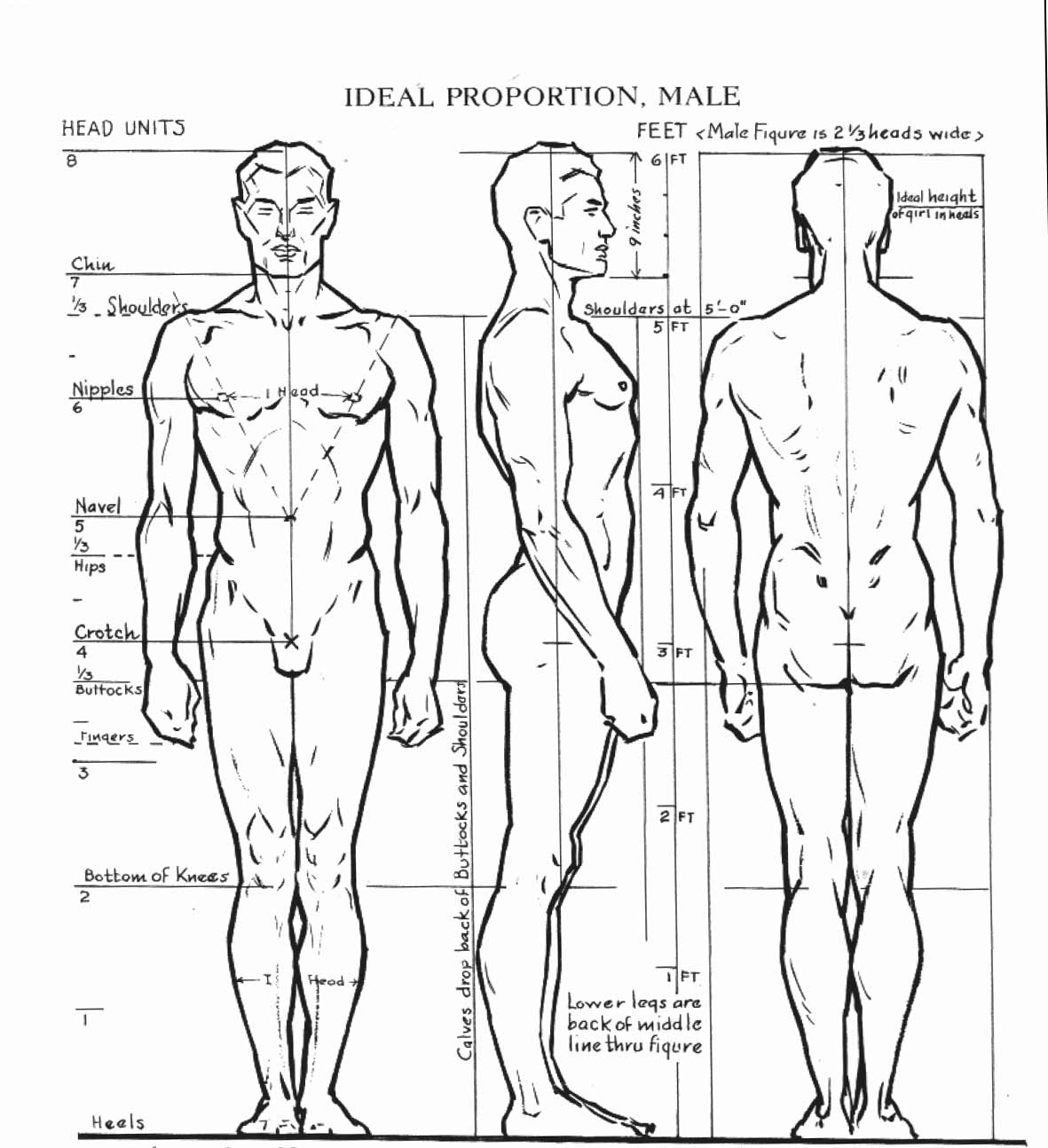 loomis_FIGURE_draw-19.jpg