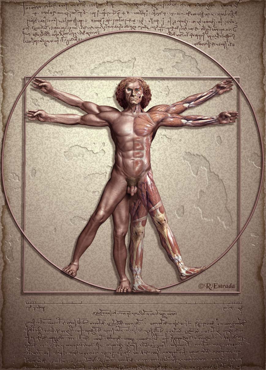 Proporcion Aurea.jpg