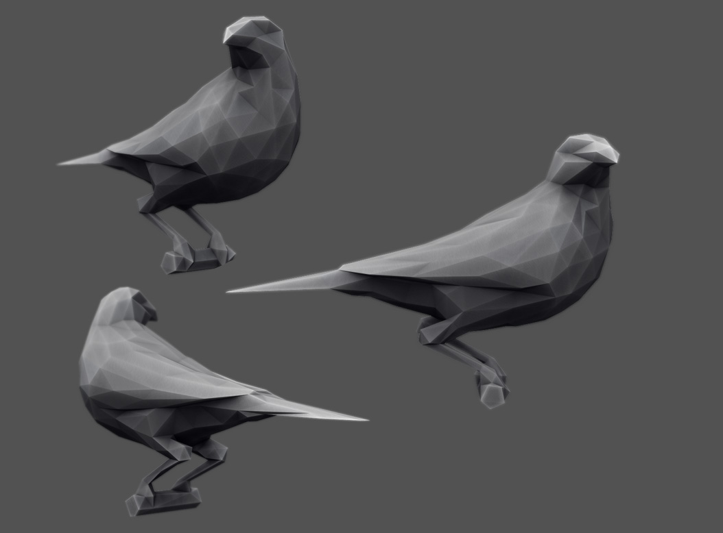 BowerBirdStepDec.jpg