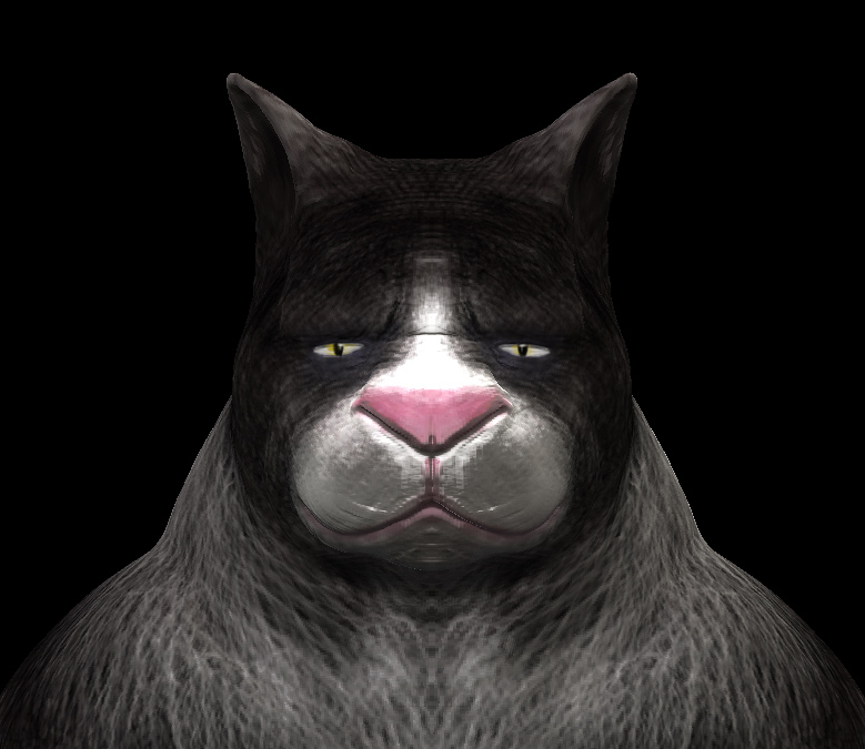 cat1.jpg