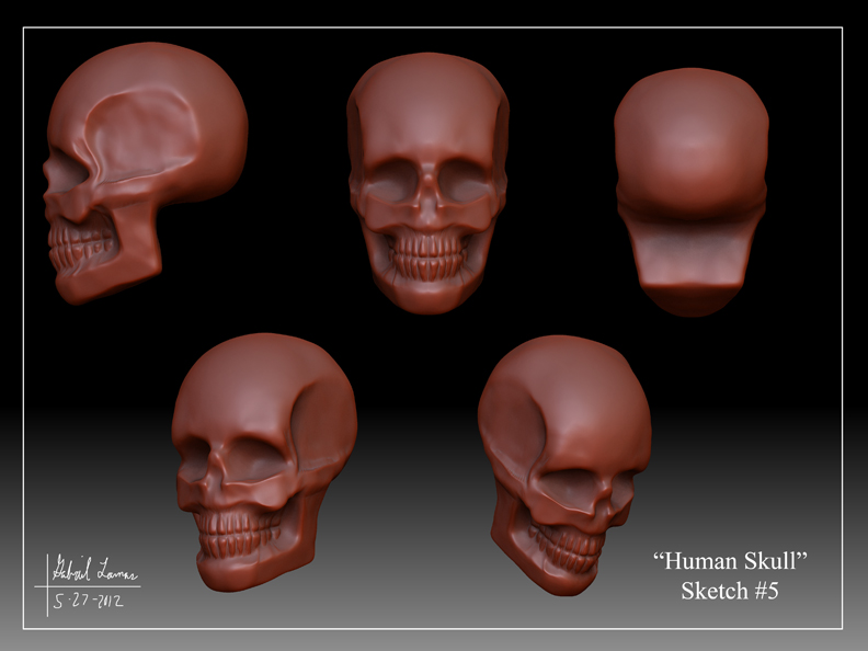 Human_Skull_Sketch_05.jpg