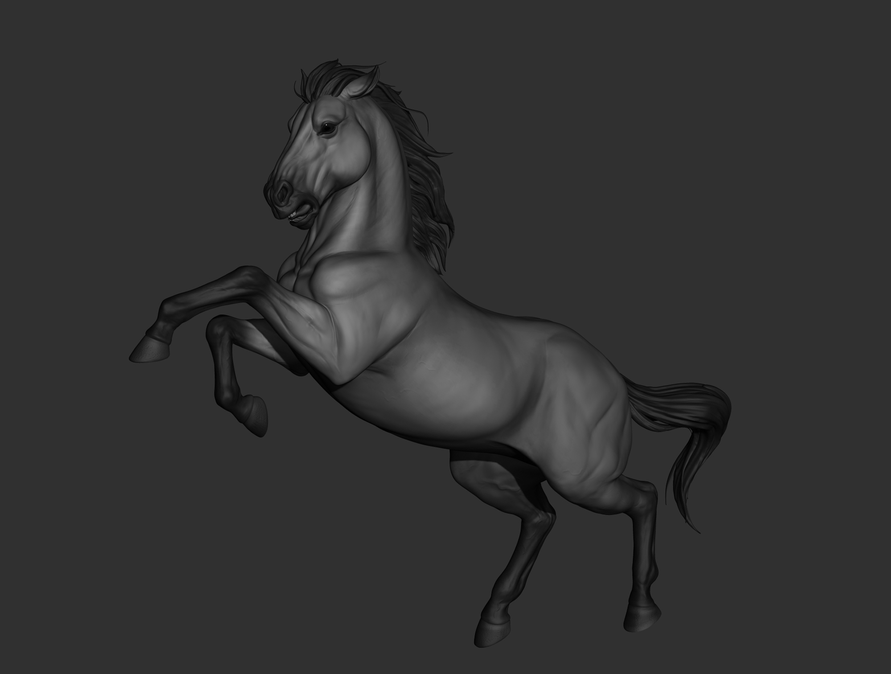 horse02.jpg