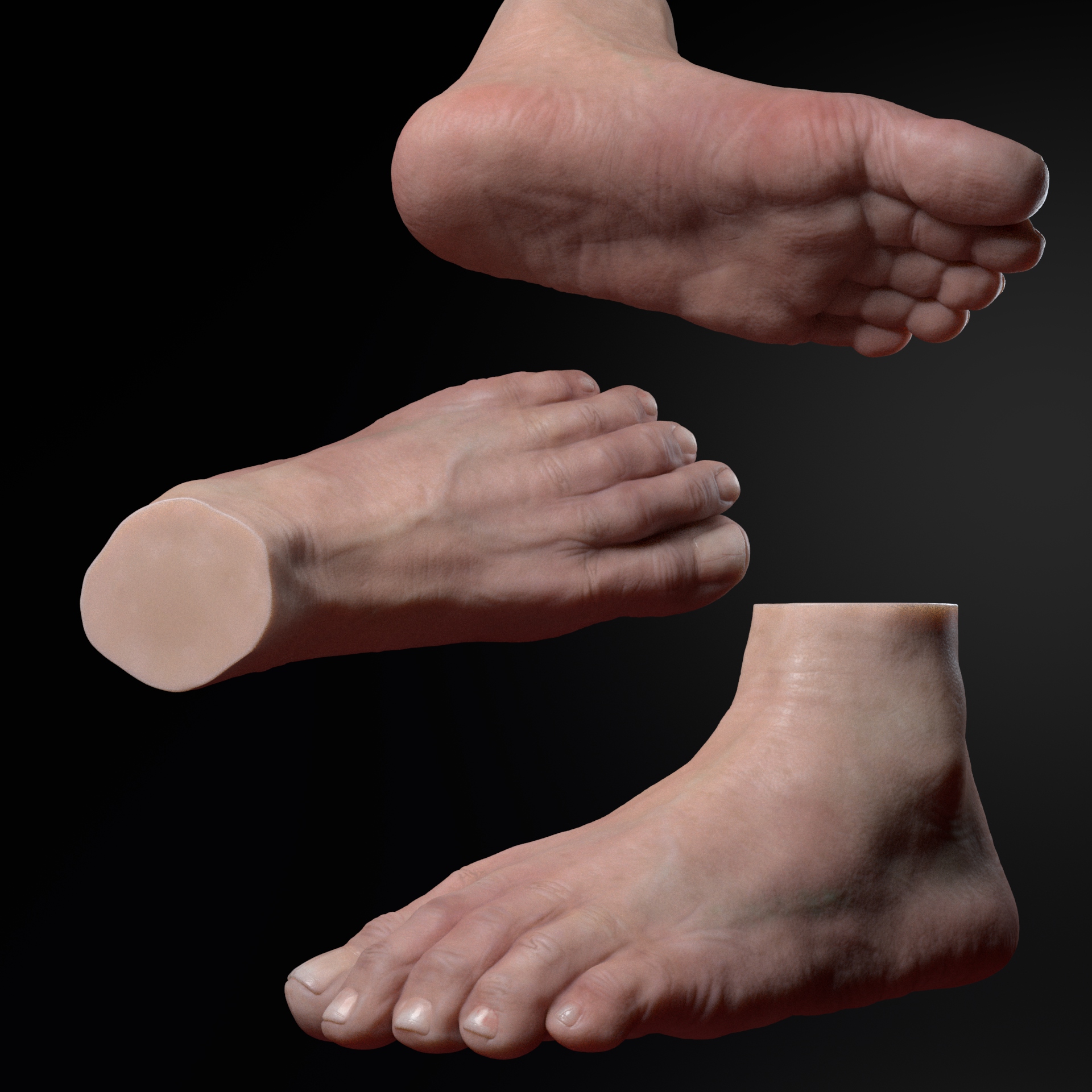 Foot_render.jpeg