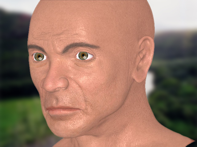 Head.jpg