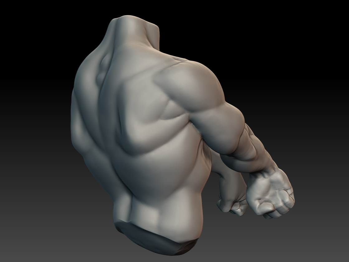 muscleUpper2.jpg