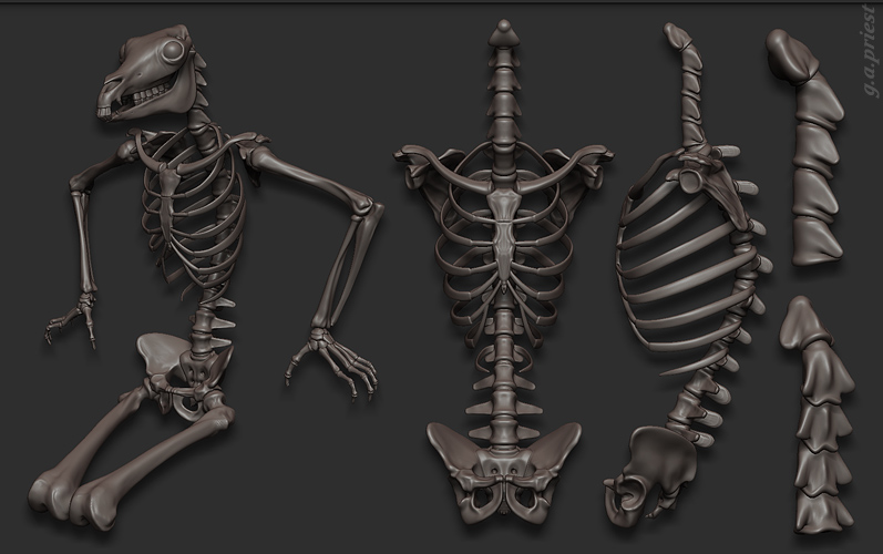 wip13.jpg