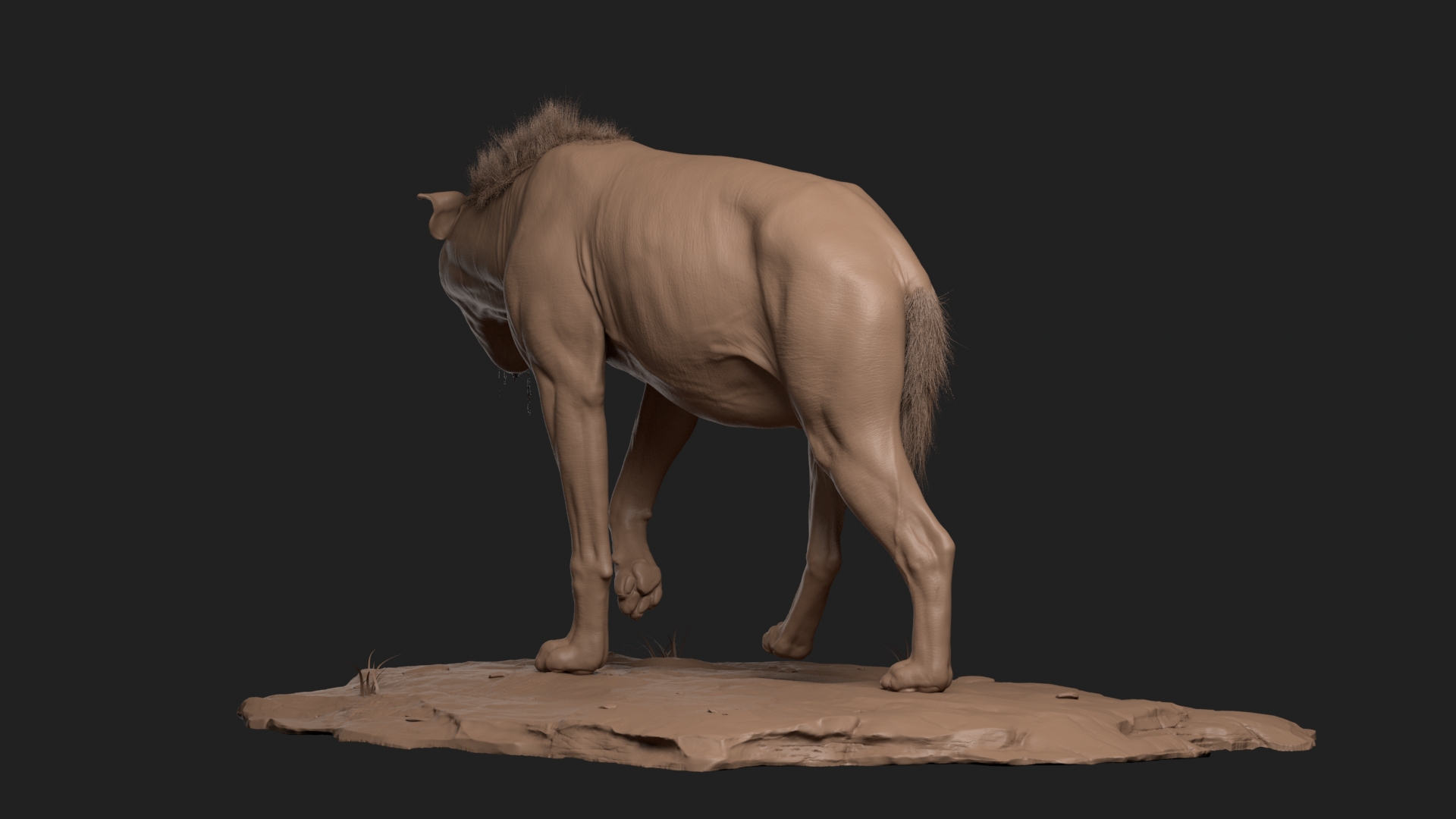 body1006.jpg