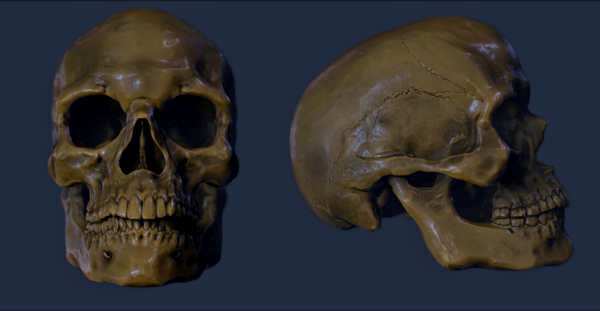 skull_class.jpg