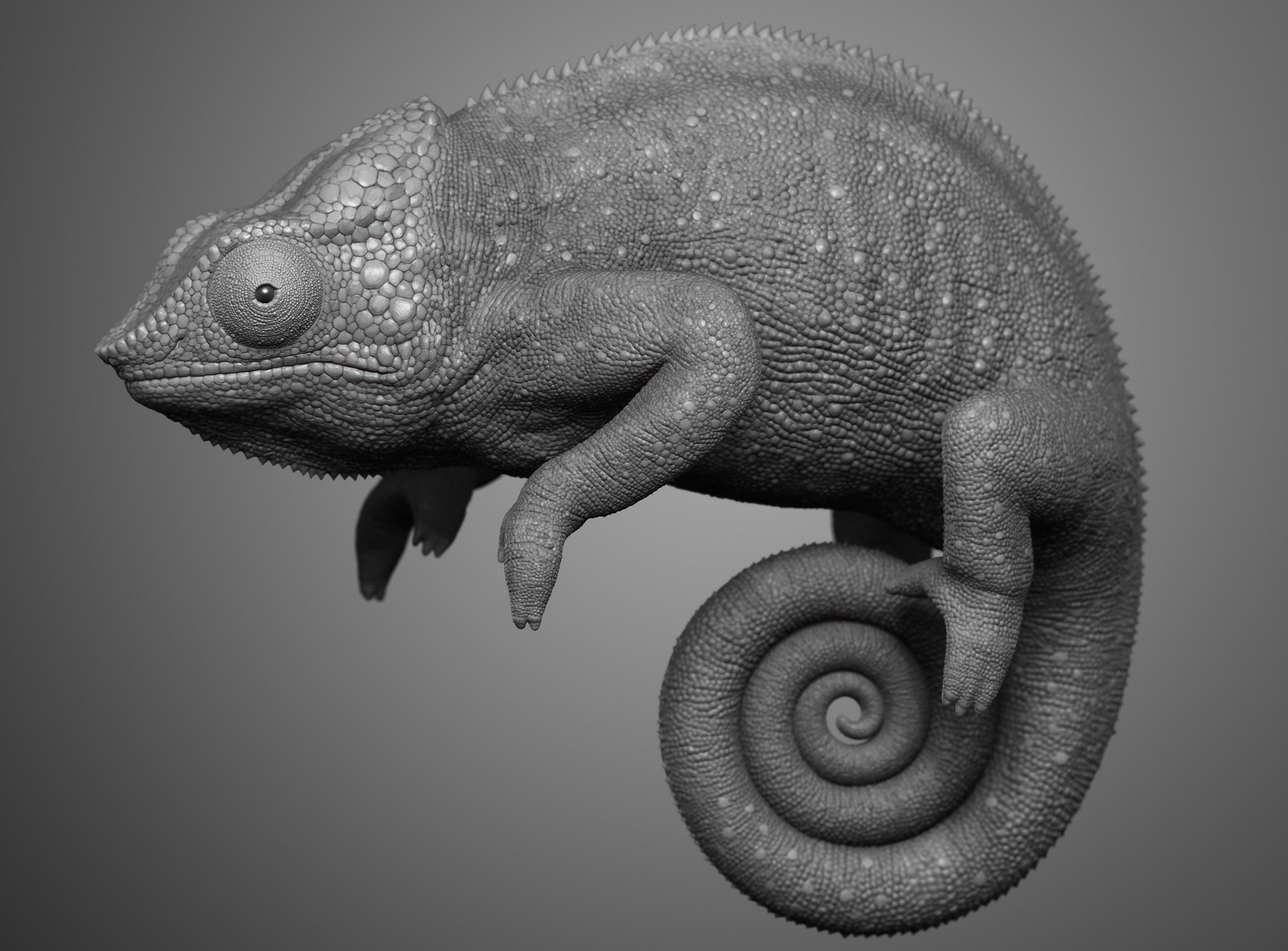 Chameleon_06.jpg
