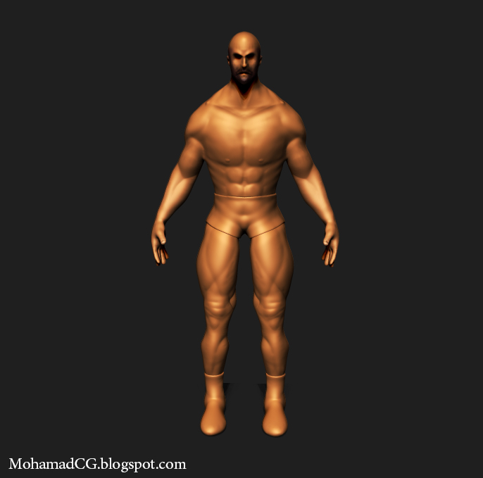 Anatomy.jpg