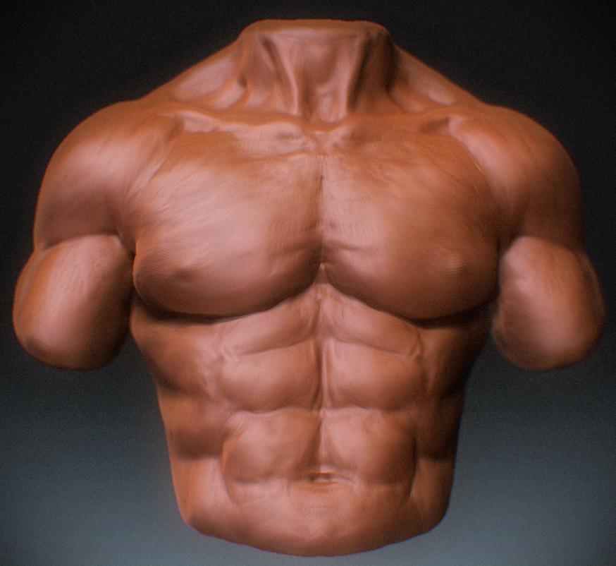 Second Torso ZB.jpg