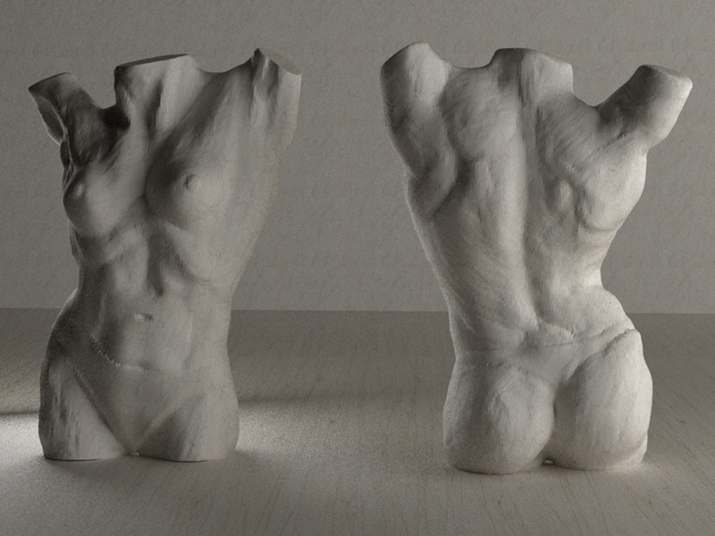 anatomical_study_05.jpg