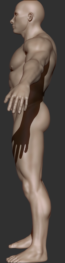 bodybuilder study_profile.jpg