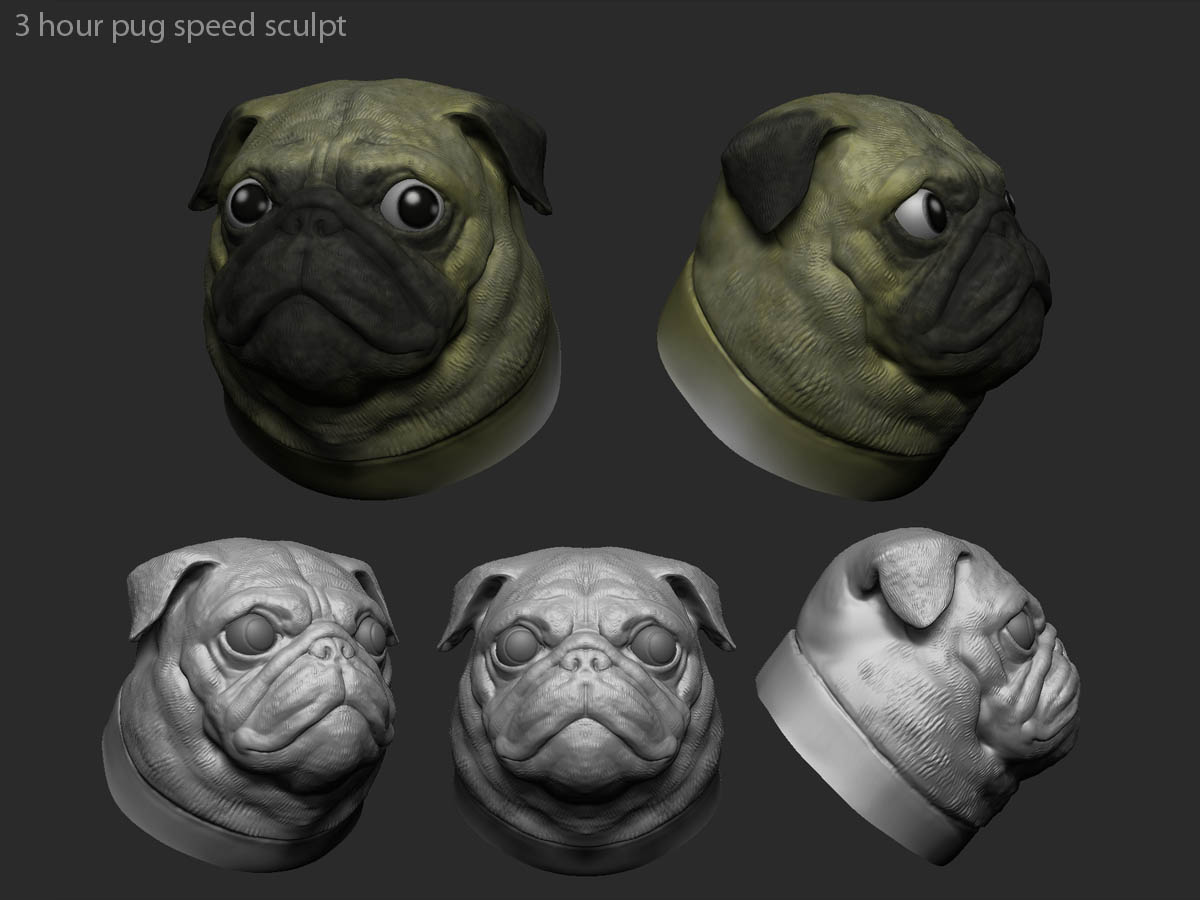 PUG speed.jpg