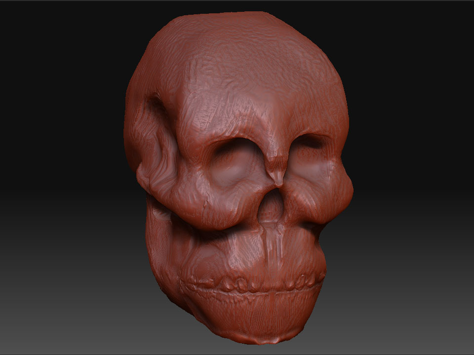 James_Skull_quarter.jpg