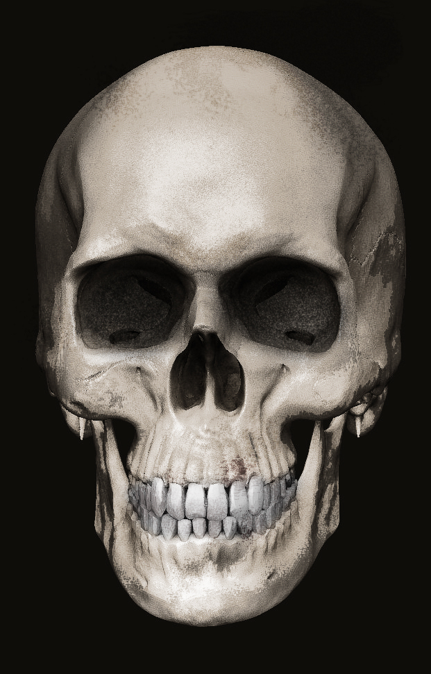 skull_color.jpg