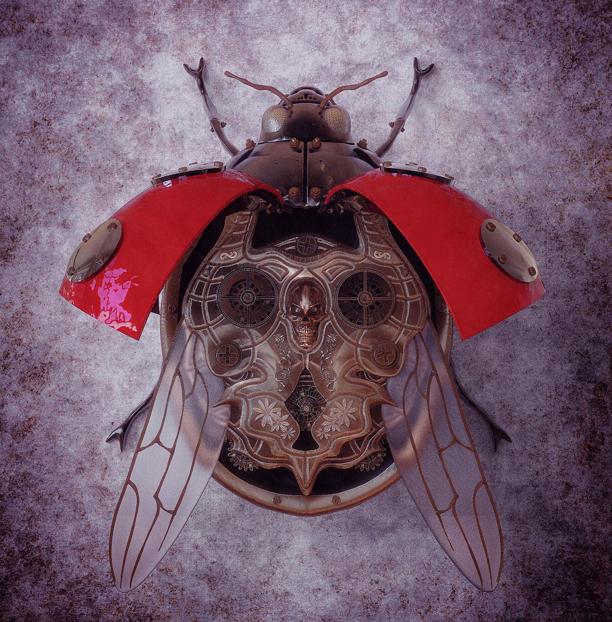 Ladybug_open_2000_Color_Version_low.jpg