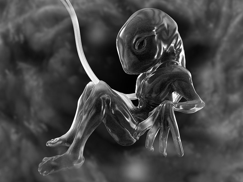 Embryo2_.jpg