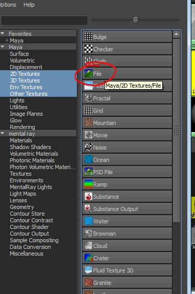 step4.jpg