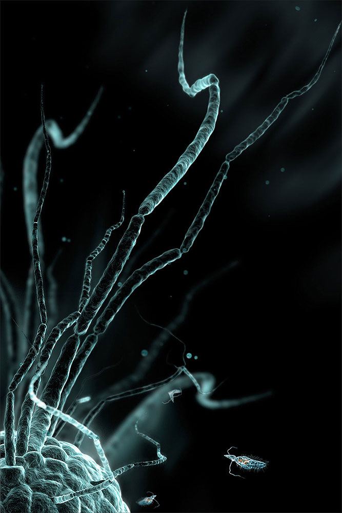Microscope012.jpg