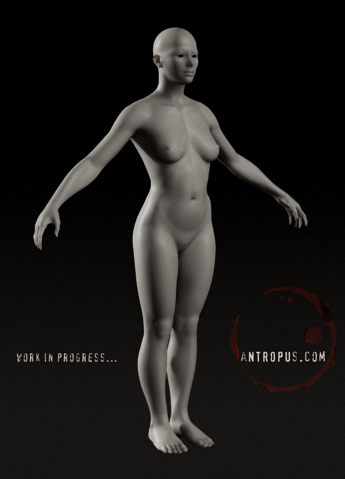 bodywip_004.jpg