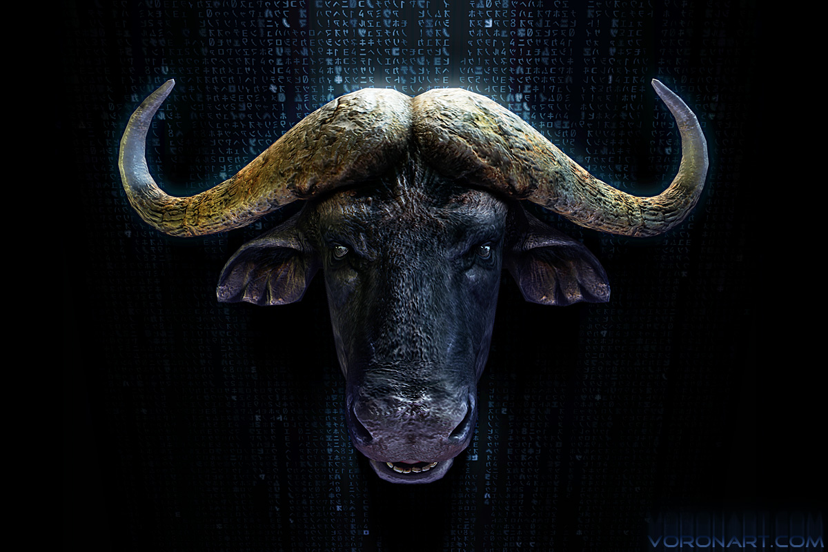 cape-buffalo_head01.jpg