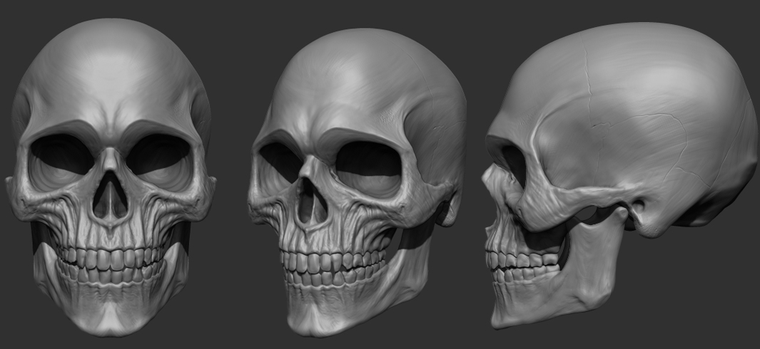 santis_skull.jpg