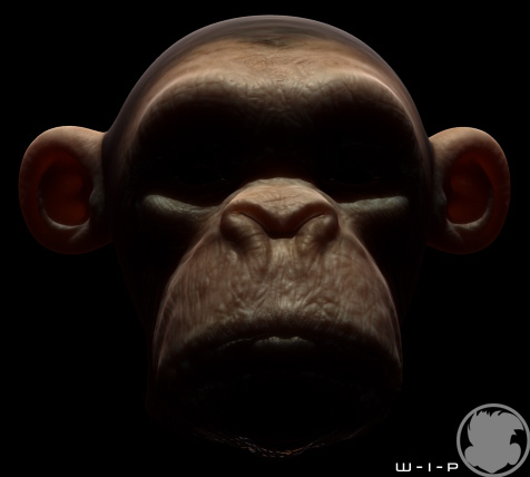 monkeyLightUp.jpg