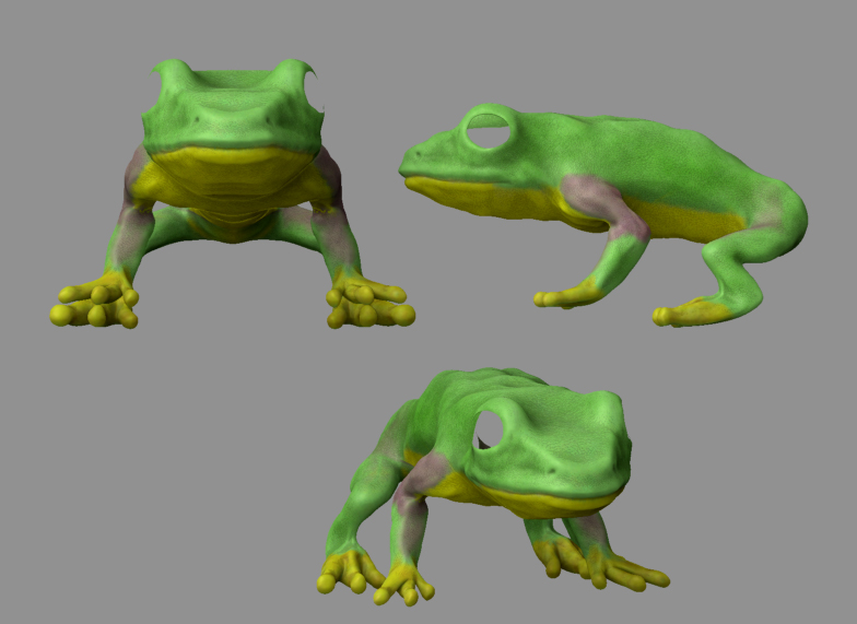 Frog-Color1.jpg