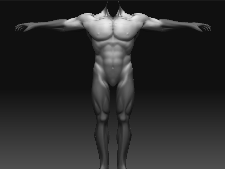 skeletormusclerefine1.jpg