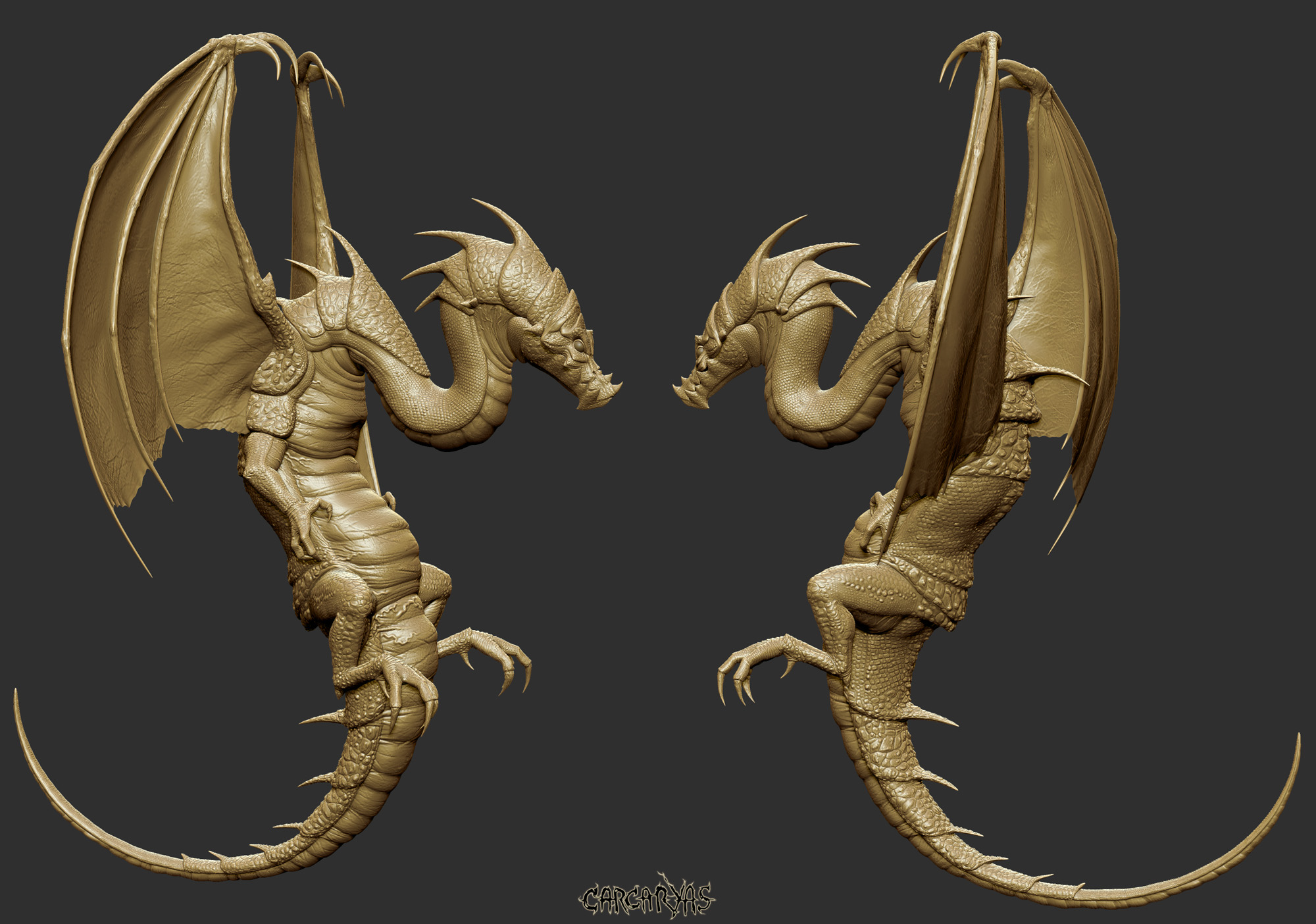 3D_21_01_carcaryas.jpg
