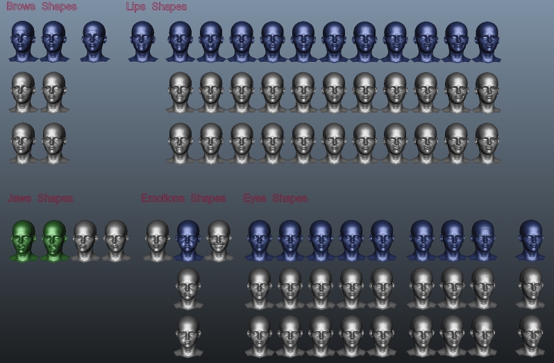 FaceAllBlendshapesR.jpg