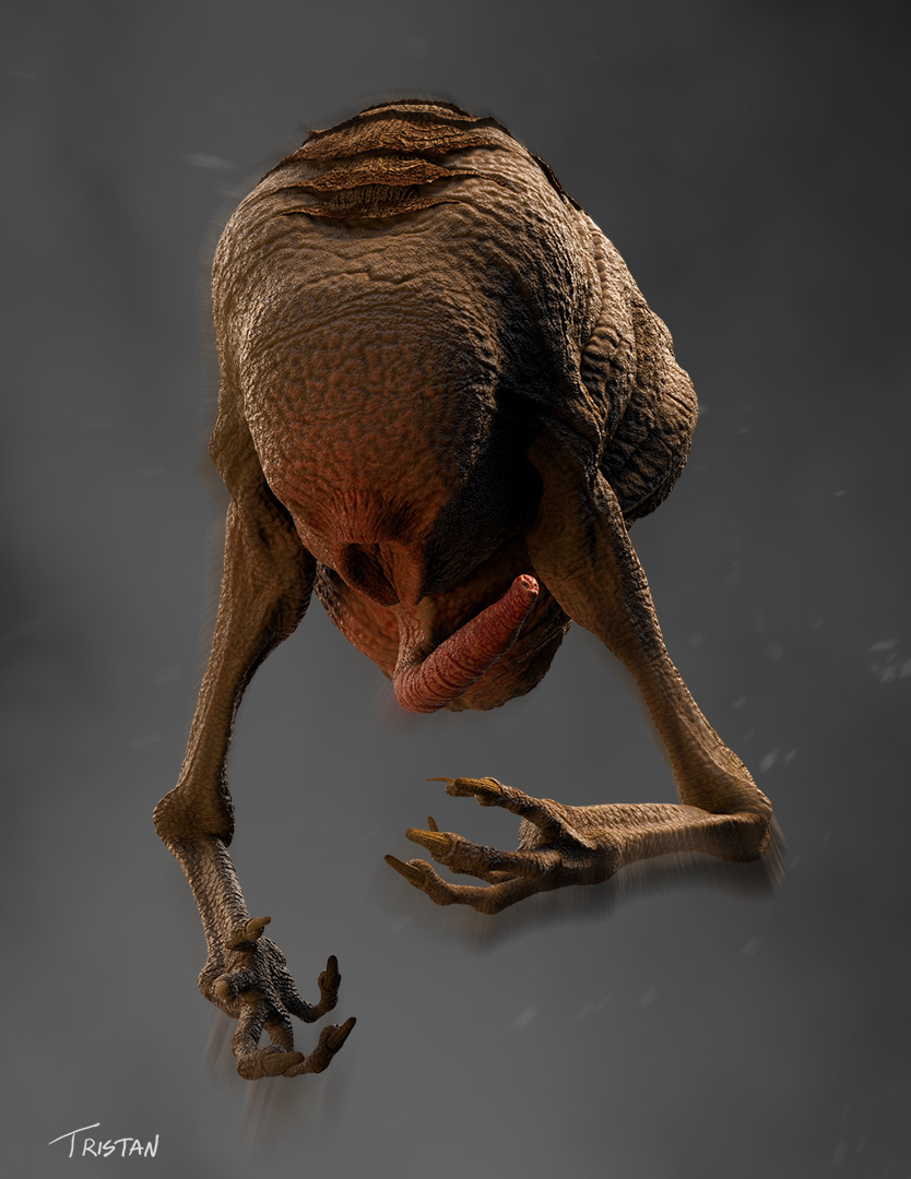 Imp_03.jpg