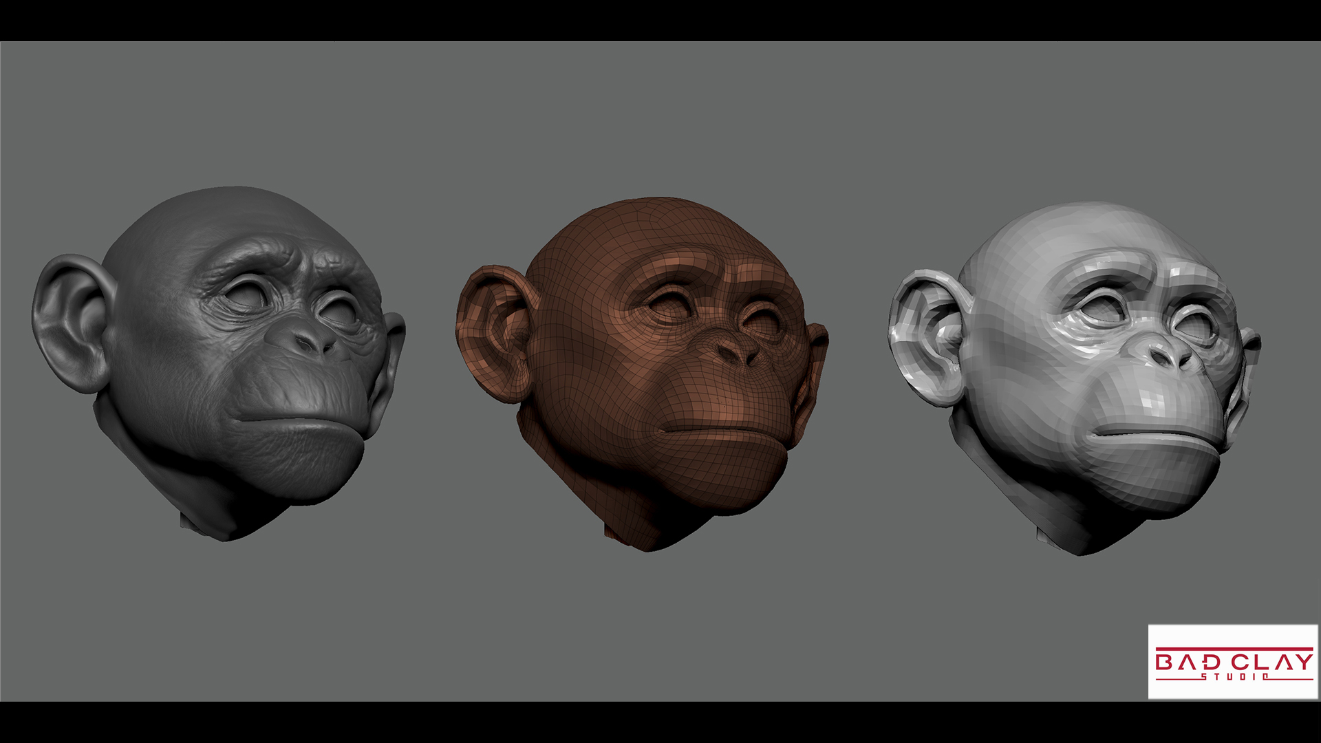 hTopology.jpg