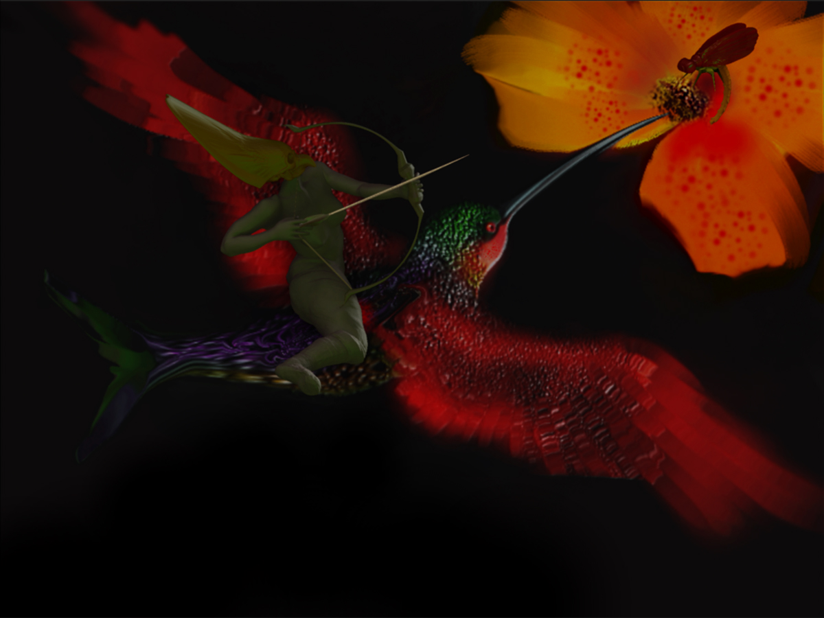 HUMMINGBIRD 21.jpg