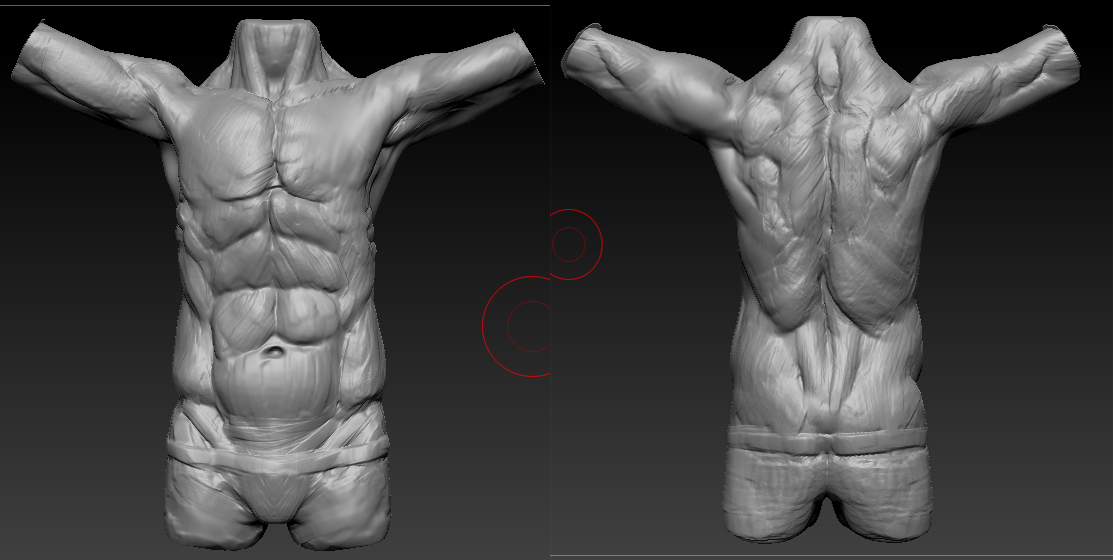 Torso_Week_2DEgree135.jpg
