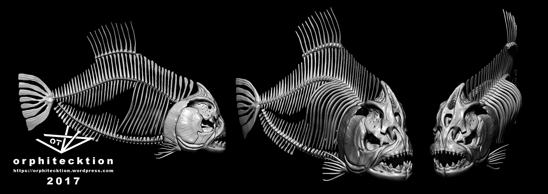 fishbones_A_construction.jpg