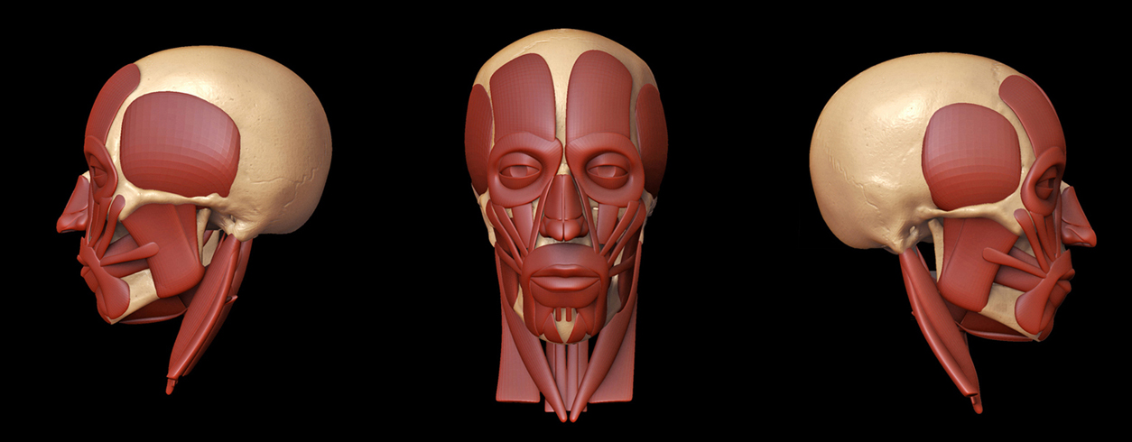 basemesh.jpg