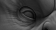 mother_b&w_T_ZB.jpg
