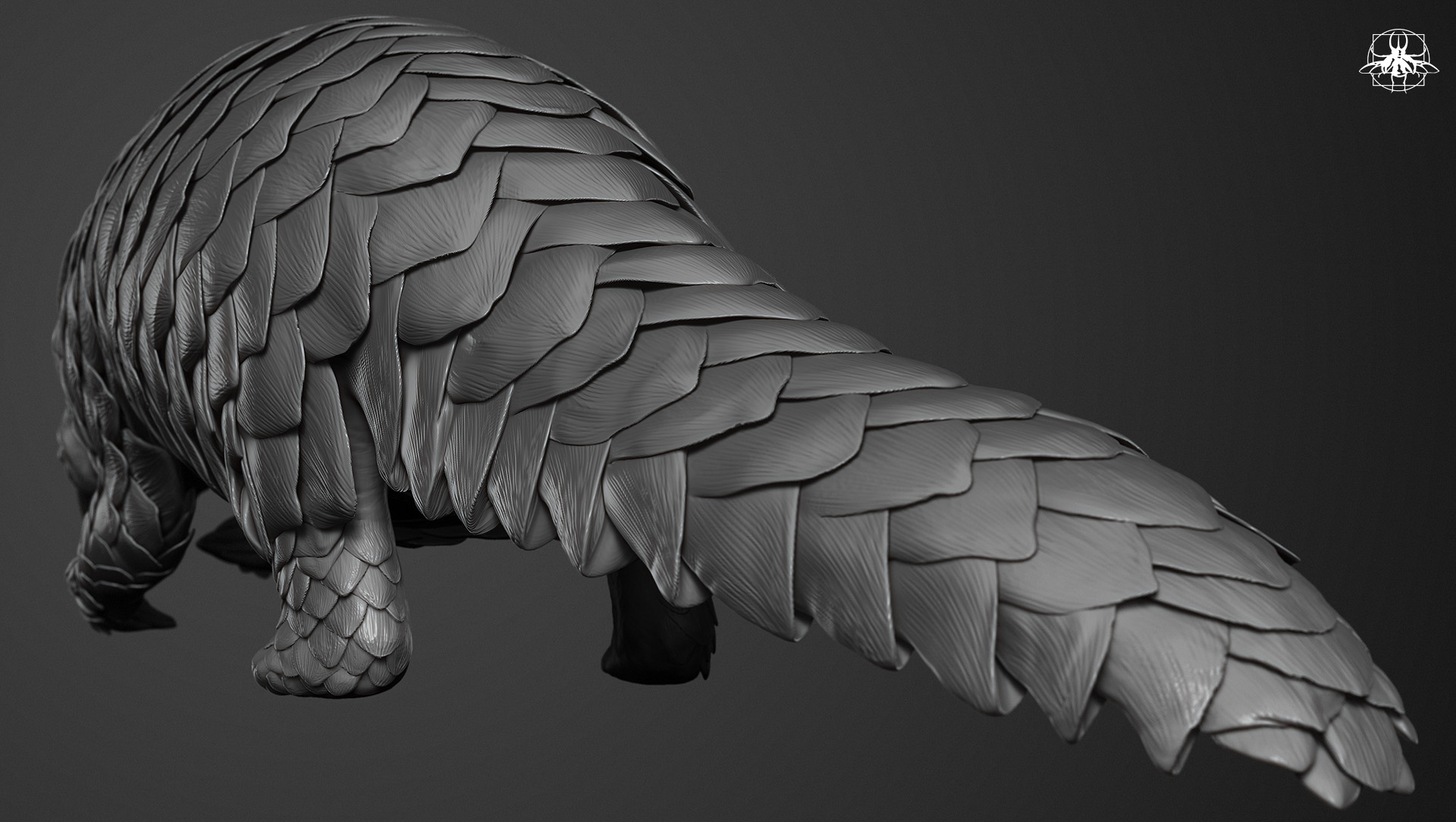 pangolin_11.jpg