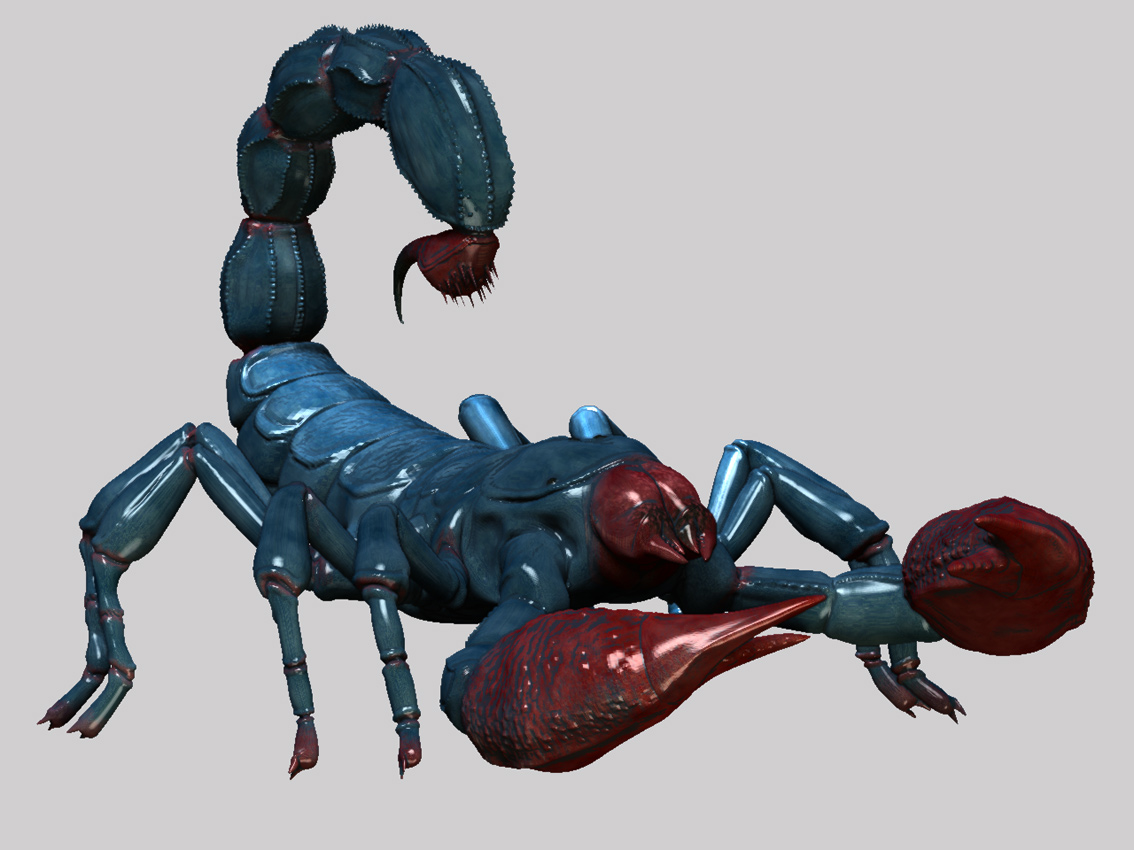 scorpion_05.jpg
