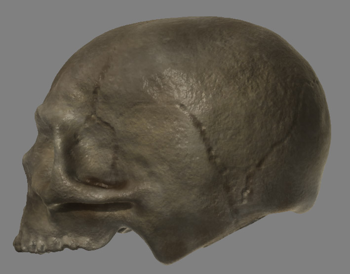 skull_wip5.jpg